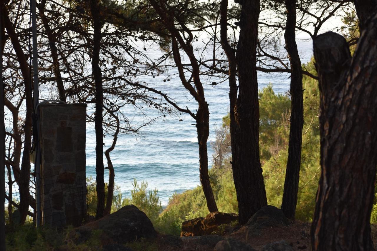 Dolihis Gi, Poseidon Vila Gialiskari  Exterior foto